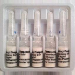 Testoxyl Suspension 100 - Testosterone Suspension - Kalpa Pharmaceuticals LTD, India