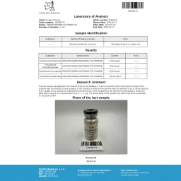 buy SUSTANON 270 Dragon Pharma, Europe