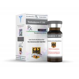 Testosterone E 250 Odin Pharma - Testosterone Enanthate - Odin Pharma