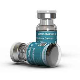 buy Testoxyl Enanthate 250 Kalpa Pharmaceuticals LTD, India